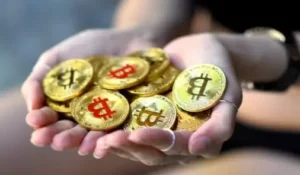 What Is a Crypto Treasury?